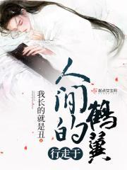 行走于人间的鹤翼 行走于人间的鹤翼