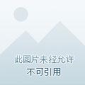 最强闲事王 最强闲事王