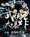 武侠大爆炸 武侠大爆炸