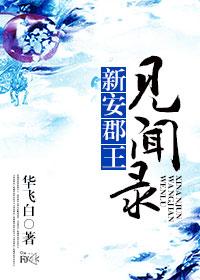 新安郡王见闻录 新安郡王见闻录