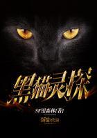 黑猫灵探 黑猫灵探