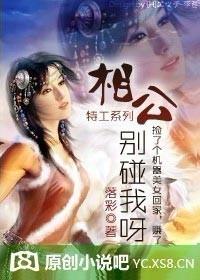 特工系列:相公,别碰我呀!(完) 特工系列:相公,别碰我呀!(完)