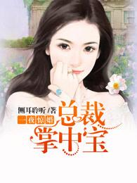 一夜惊婚:总裁掌中宝 一夜惊婚:总裁掌中宝