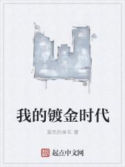 我的镀金时代 我的镀金时代