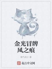金光冒牌风之痕 金光冒牌风之痕