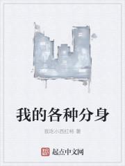 我的各种分身 我的各种分身