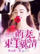 宠婚入骨:萌妻束手就情 宠婚入骨:萌妻束手就情