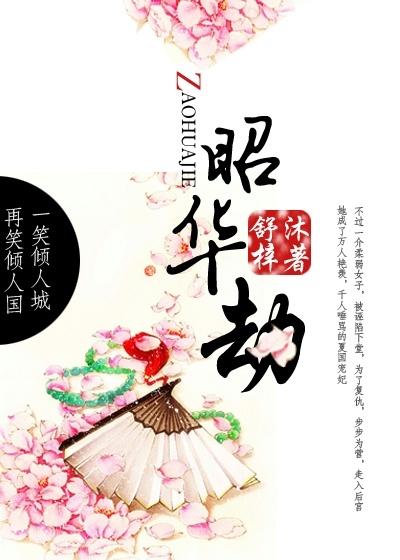 昭华劫 昭华劫