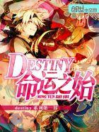 destiny命运之始 destiny命运之始