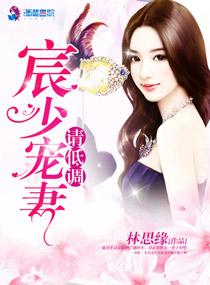 宸少宠妻请低调 宸少宠妻请低调