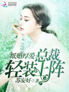 纸婚厚爱:总裁轻装上阵 纸婚厚爱:总裁轻装上阵