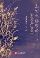 系统逼我在海军当卧底的日子 系统逼我在海军当卧底的日子