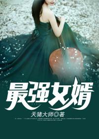 赘婿的辉煌人生 赘婿的辉煌人生